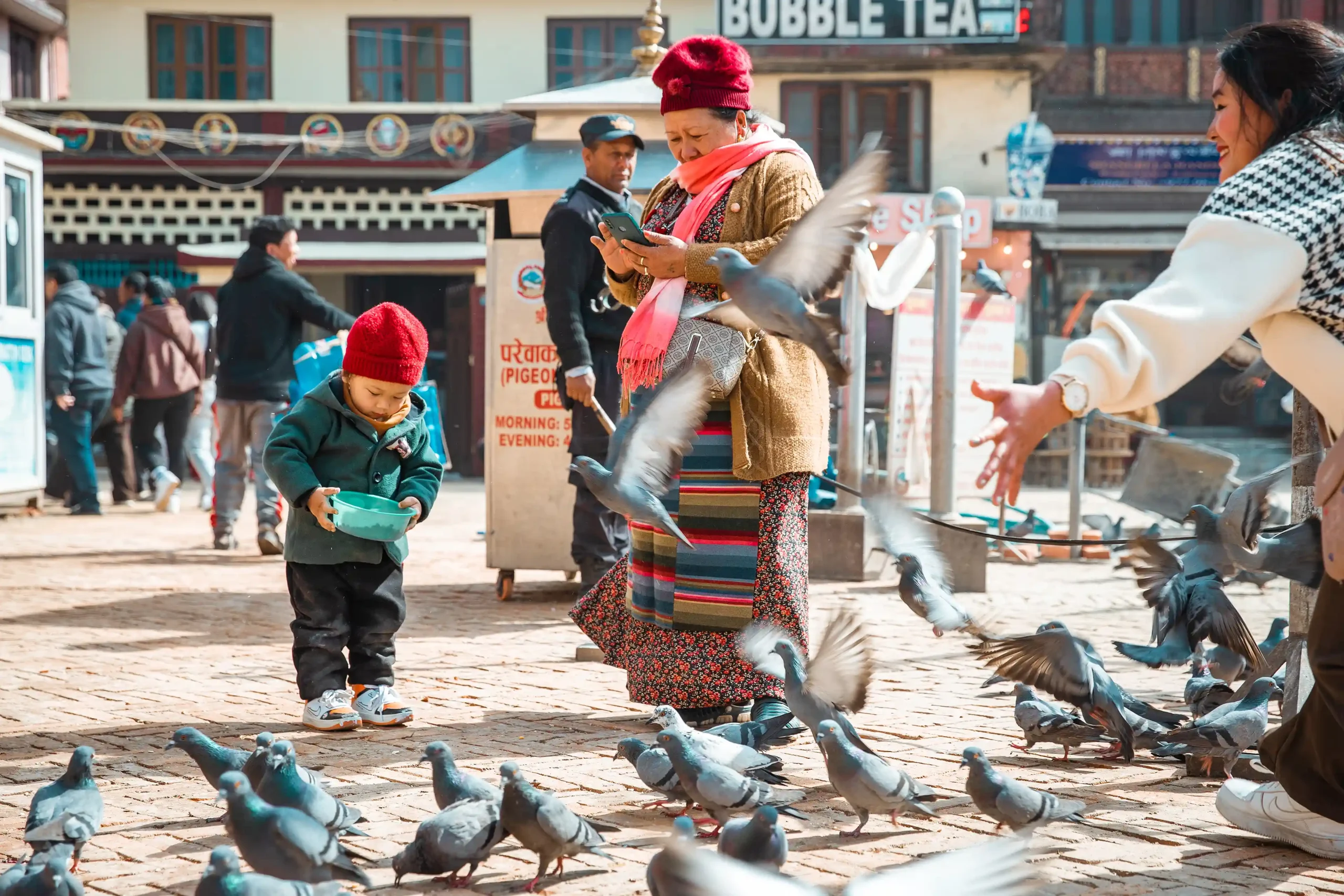 Feed birds